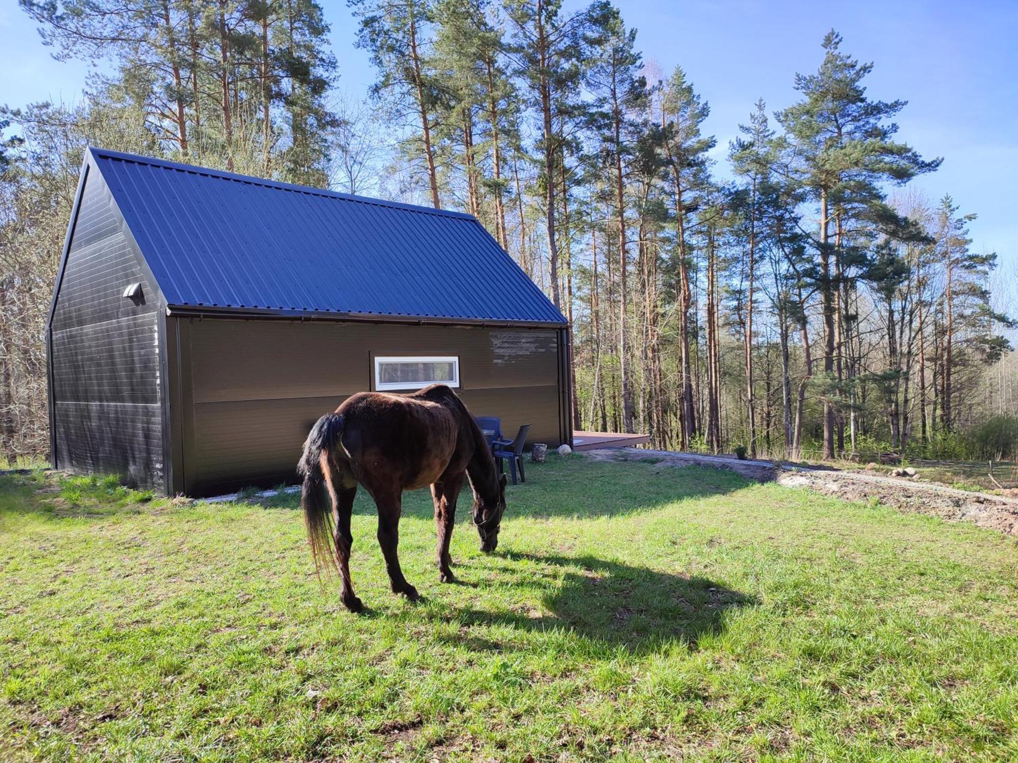Modern Sauna Cabin In Horse Ranch Liyeplauke Exteriér fotografie